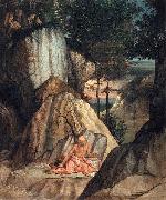 Penitent St Jerome Lorenzo Lotto